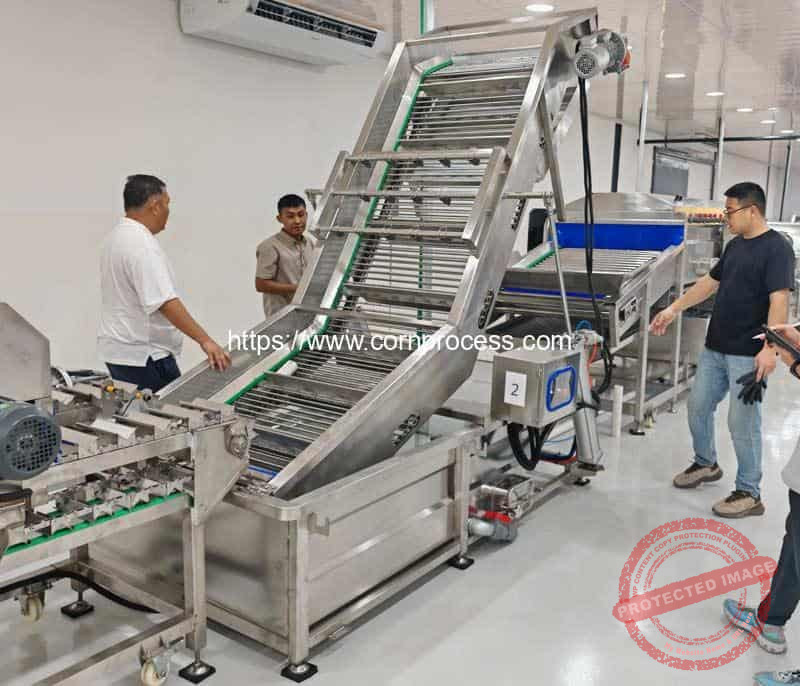 Automatic-Air-Cyclinder-Lift-Type-Corn-Cob-Impurity-Water-Washing-Cleaning-Machine